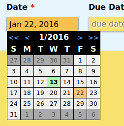 Example of the Date Edit Widget with the dropdown calendar open.